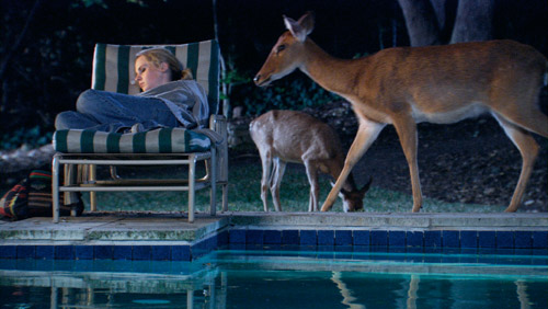 Teresa Hubbard/Alexander Birchler: House with Pool, 2004