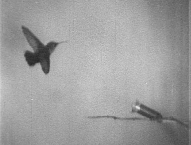 Fig. 3: High over the Border (1942)
